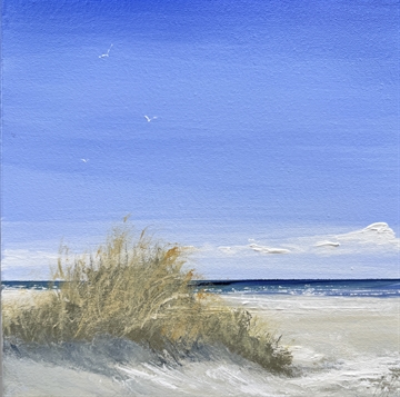 Skagen Sønderstrand - Gitte Toft